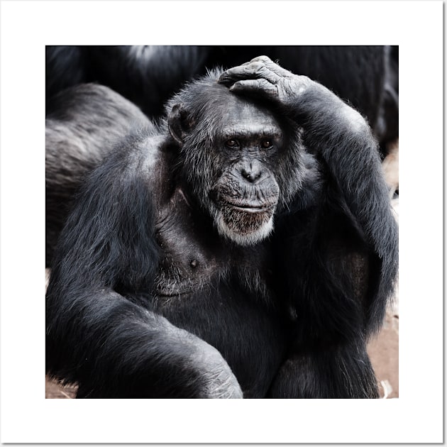 Chimpanzee Wall Art by kawaii_shop